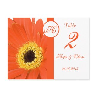 Orange Gerber Daisy Table Number Cards postcard