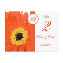 Orange Gerber Daisy Table Number Cards Postcards
