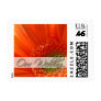 Orange Gerber Our Wedding