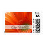 Orange Gerber Our Wedding