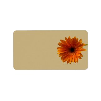 Orange Gerbera Daisy Blank Wedding Address Labels label