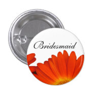 orange gerbera daisy flower buttons