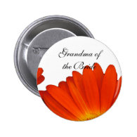 orange gerbera daisy flower buttons