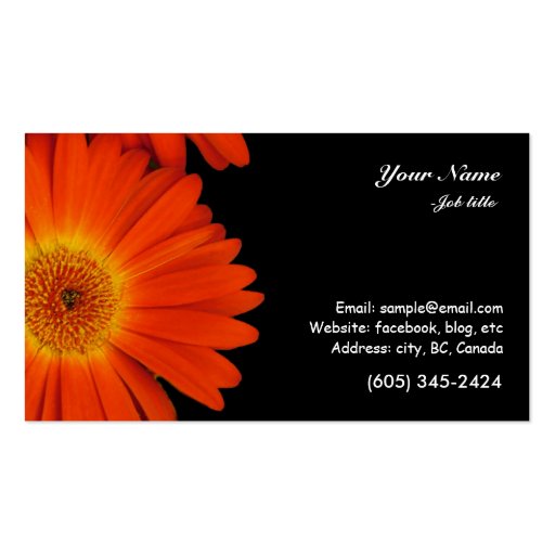 orange gerbera daisy flowers business card templates (front side)