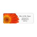 orange gerbera daisy flowers custom return address labels