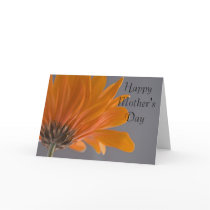 Orange Gerbera Daisy Mothers Day Card