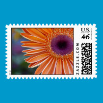 Orange Gerbera Daisy stamps