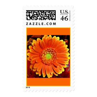 Orange Gerbera Daisy Postage Stamp