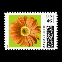 Orange Gerbera Daisy Postage Stamps