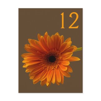Orange Gerbera Daisy Table Number Card postcard