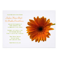 Orange Gerbera Daisy Wedding Invitation