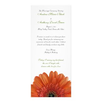 Orange Gerbera Daisy Wedding Program Announcement