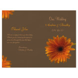 Orange Gerbera Daisy Wedding Program Custom Flyer