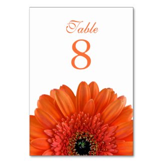 Orange Gerbera Daisy White Wedding Table Card