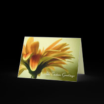 Orange Gerbera Flower w/ Custom Text Greeting Card cards