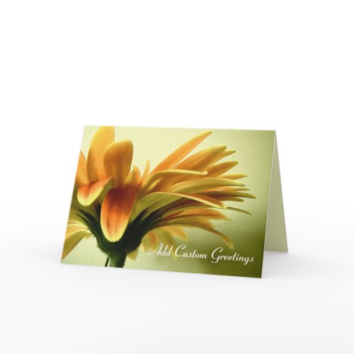 Orange Gerbera Flower w/ Custom Text Greeting Card card