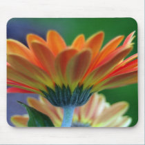 Orange Gerbera Mouse Pad mousepads