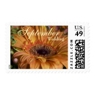 Orange Gerbera • September Wedding Stamp