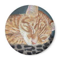 Orange Ginger Tabby Sleeping Cat Painting Art Magnets