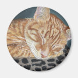 Orange Ginger Tabby Sleeping Cat Painting Art Magnets