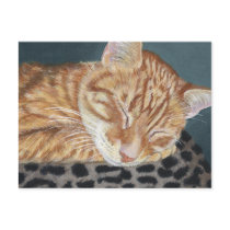 Orange Ginger Tabby Sleeping Cat Painting Art Post Card