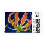 Orange Gloriosa lily (Gloriosa rothchildiana) flow Postage Stamps