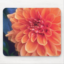 Orange Glorious orange flowers Mousepads