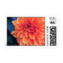 Orange Glorious orange flowers Postage