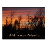 Orange Glow Sunset postcard