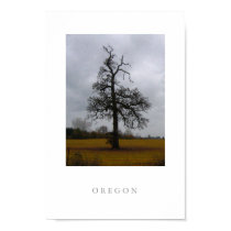 Orange Grass posters by jmarple Orange Grass posters