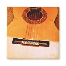 Orange Guitar magnets