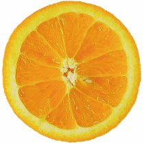 ORANGE HALF PHOTO SCULPTURE