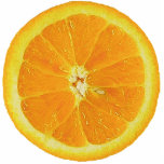 ORANGE HALF PHOTO SCULPTURE photo sculptures