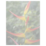 Orange Haliconia latispathia flowers Custom Letterhead