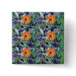 Orange Hawkweed 1 Button