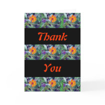 Orange Hawkweed 1 Greeting Card