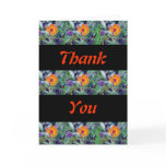 Orange Hawkweed 1 Greeting Card