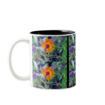 Orange Hawkweed 1 Mug