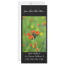 Orange Hawkweed, Sand Point, Alaska Personalized Rack Card