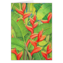 Orange Heleconia cards by joeyartist Orange Heleconia cards