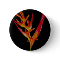 Orange Heliconia Button