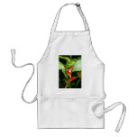 Orange Heliconia Psittacorum flowers Aprons
