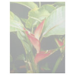Orange Heliconia Psittacorum flowers Letterhead