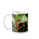 Orange Heliconia Psittacorum flowers Coffee Mug