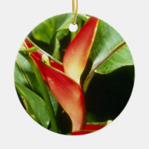 Orange Heliconia Psittacorum flowers Ornaments