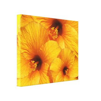 Orange Hibiscus Flower Canvas Print