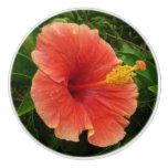 Orange Hibiscus Flower Ceramic Knob