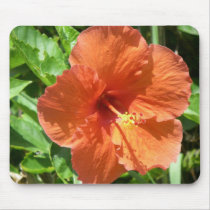 Orange Hibiscus Flower Fort Lauderdale Florida mousepads by SerenethosArt Orange Hibiscus Flower Fort Lauderdale Florida mousepads