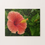 Orange Hibiscus Flower Puzzle