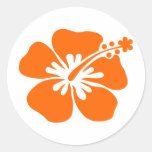 Orange hibiscus flower sticker